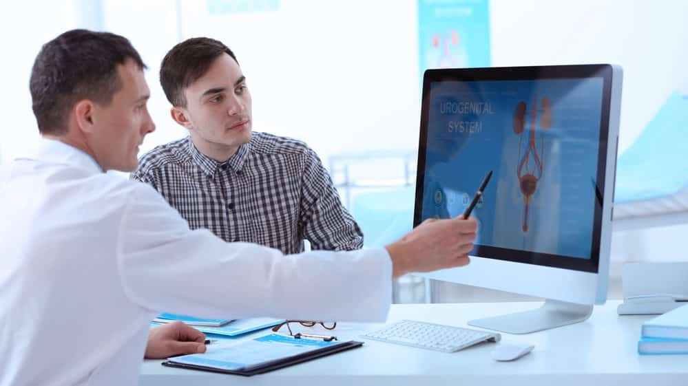 médico mostra desenho de aparelho urinário e reprodutor no computador;. Há vários problemas que acometem a próstata