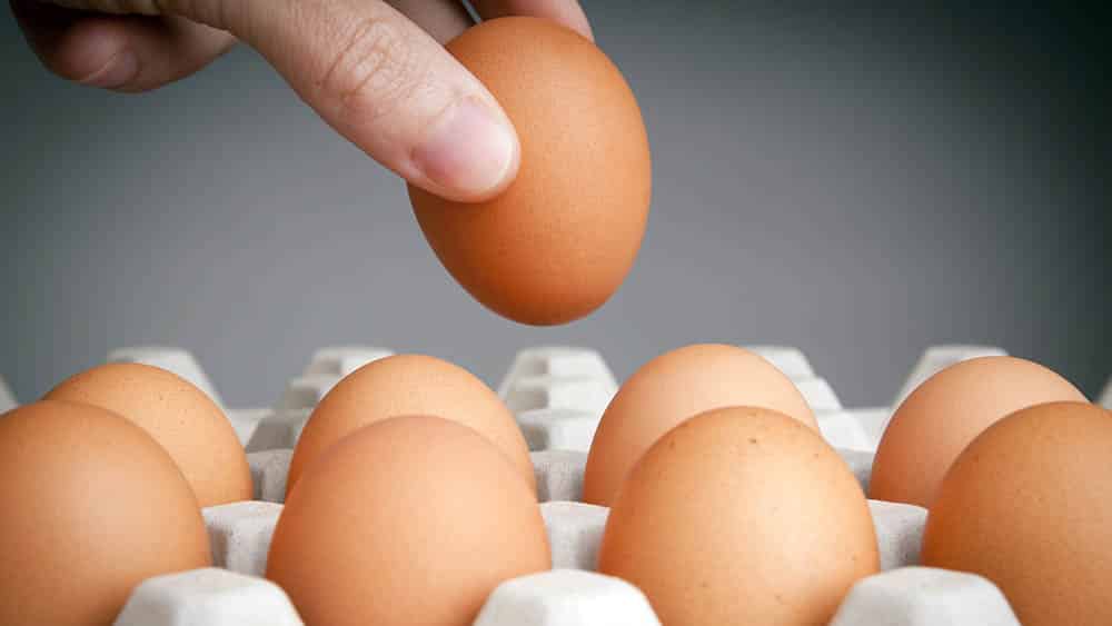Mão pegando um ovo de um bandeja, um dos alimentos que oferece maior risco de salmonelose.