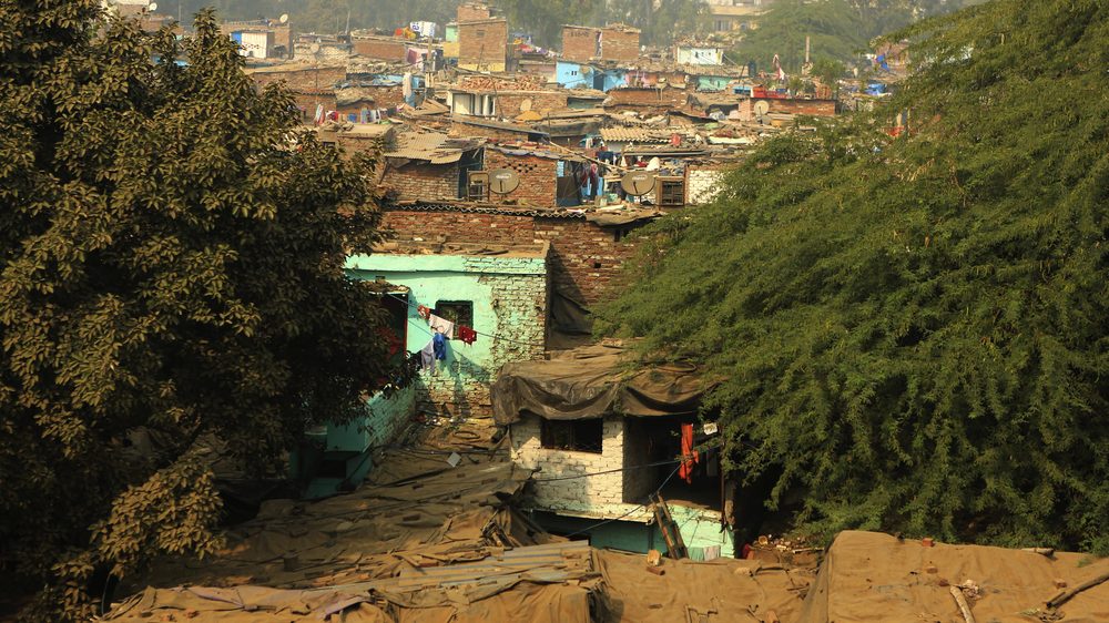 vista de favela. Inteligência e parasitoses têm relação