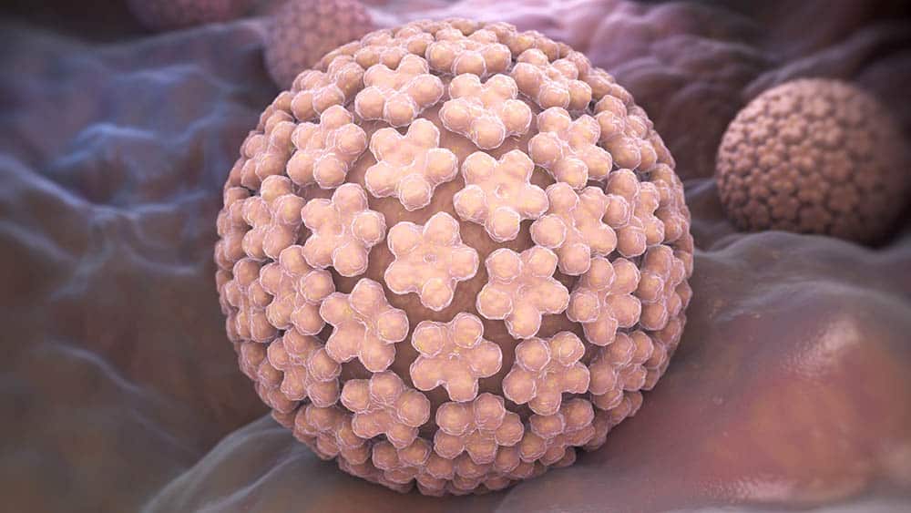 Infecția cu HPV și cancerul de col uterin