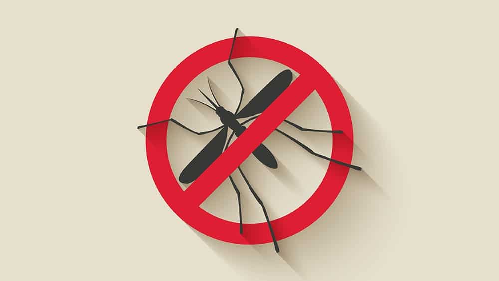 Ilustração com silhueta de mosquito e sinal vermelho de proibido em cima.
