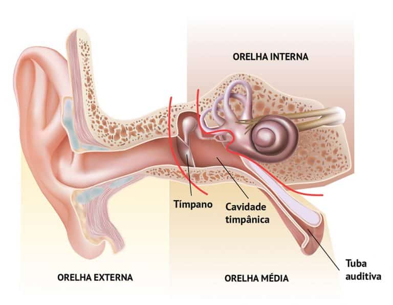Otite média Drauzio Varella Drauzio Varella