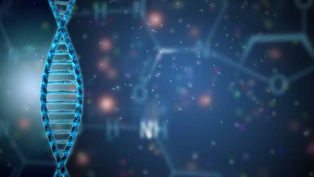 estrutura de dna. pesquisadora descobre a telomerase