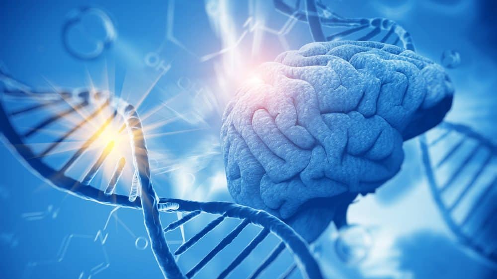 hélice de DNA e cérebro. Genes e consciência têm relação