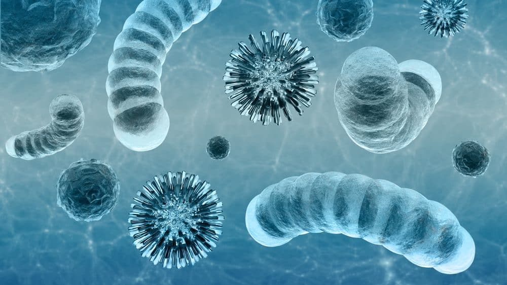 vírus e bactérias ampliados. evolução dos micro-organismos se deve à sua capacidade adaptativa