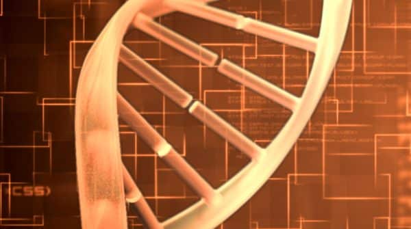 Os genes e a alma humana | Artigo Os genes e a alma humana | Artigo