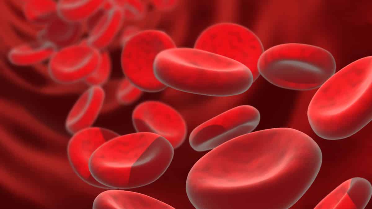 Linfomas, um tipo de câncer linfático, são o resultado da proliferação anormal de glóbulos brancos, estruturas de defesa do organismo.