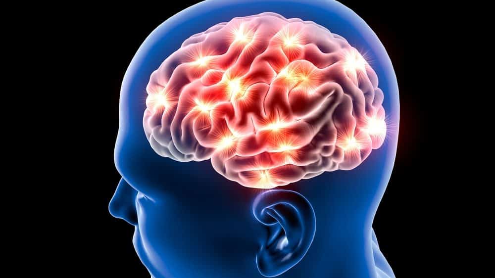 Imagem 3D de cérebro e neurônios envolvidos na memória e na linguagem
