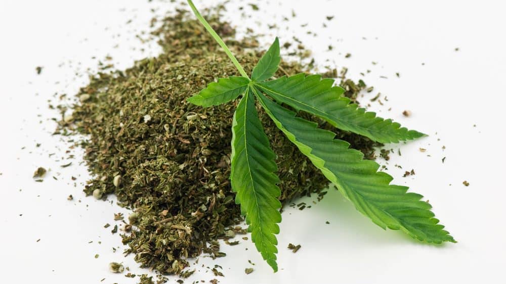 maconha seca e folha de maconha