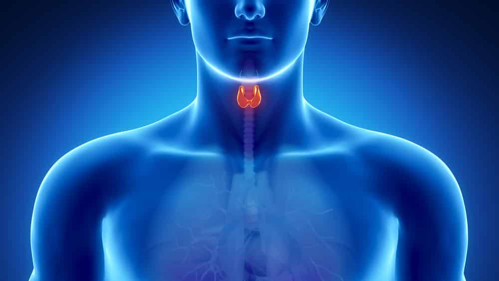 Cerca de 60% dos casos de câncer de laringe se desenvolvem na glote. O tipo mais comum é o carcinoma das células escamosas.