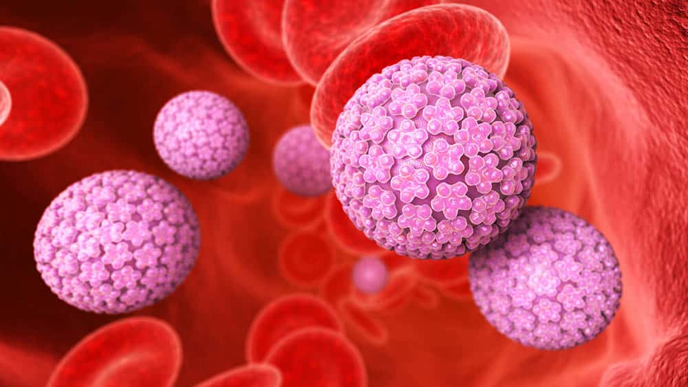 Virusul HPV - Definitii, Preventie, Diagnostic si Tratament