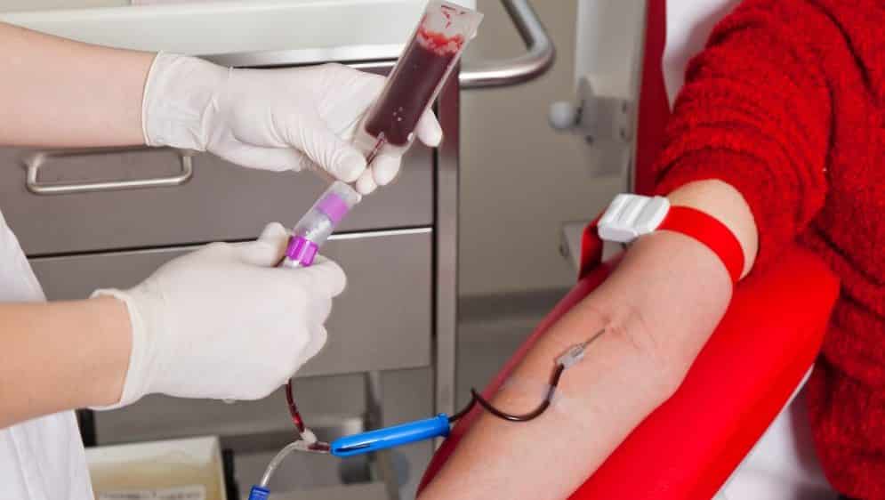 Quantos Litros De Sangue Um Ser Humano Tem No Corpo