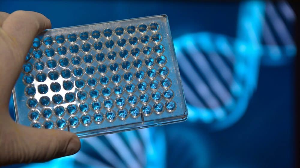 Sequenciamento personalizado | Artigo placa de teste de DNA. sequenciamento genético personalizado ainda está distante