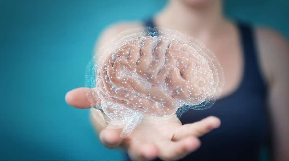 mulher com cérebro em 3D na mão. Mapa do cérebro é cada vez mais estudado
