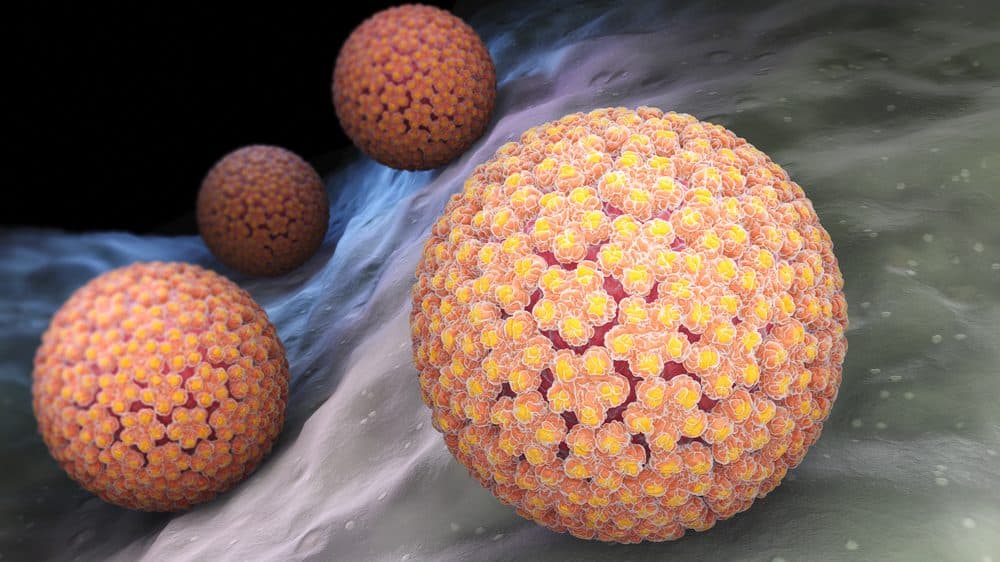 Zur Hausen e o HPV | Artigo papiloma virus. Zur Hausen ajudou a identificar o DNA do HPV
