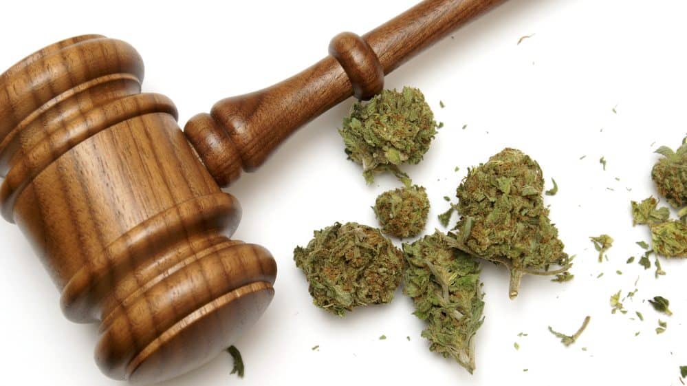 maconha e martelo simbolizando a Justiça. Legalização da maconha não é tarefa simples