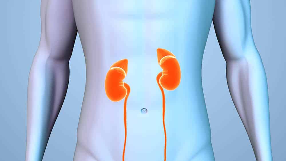 Rim Rins destacados em uma silhueta de corpo humano.