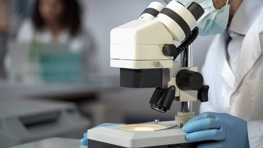 pesquisador trabalha no microscópio, em laboratório. veja os melhores cientistas de 2014