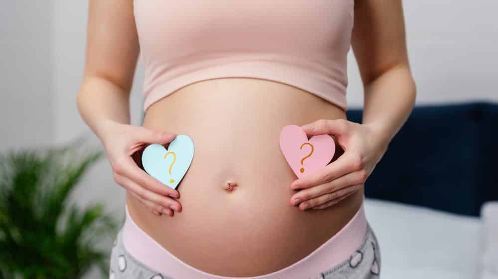 mulher grávida segura diante da barriga um coração verde e outro rosa. genética interfere no gênero