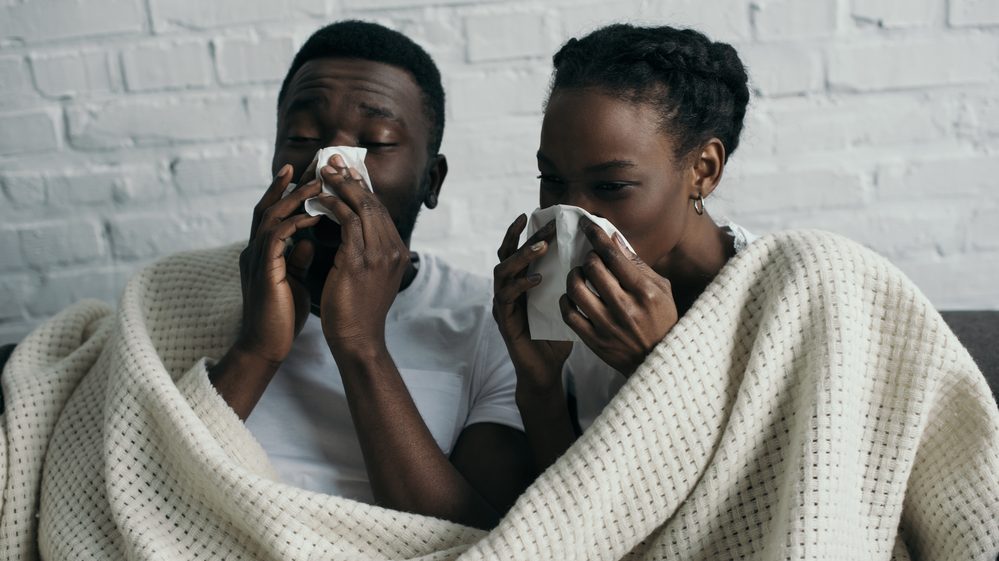 casal espirrando. veja a relação entre vírus e homens