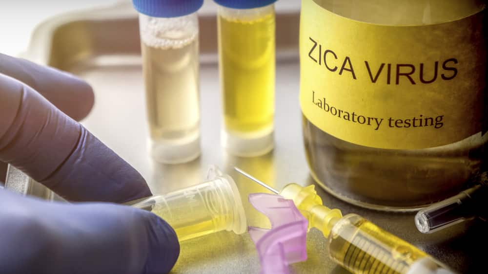 Boatos sobre o zika vírus e a vacina contra a rubéola estão circulando nas redes sociais. Infectologista explica por que eles são infundados.