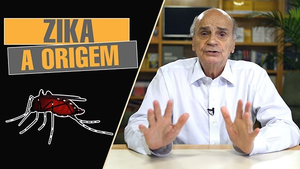 zika vírus