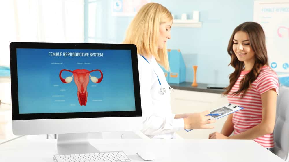 A fase reprodutiva da mulher é todo o período em que ela pode ter filhos. Nessa fase, dúvidas sobre fertilidade, primeira gravidez e métodos anticoncepcionais podem gerar muitas perguntas.