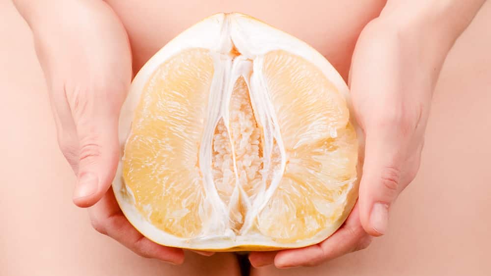 A vulva faz parte do sistema reprodutor feminino e possui entre suas estruturas púbis, grandes lábios, pequenos lábios e clitóris, entre outros.