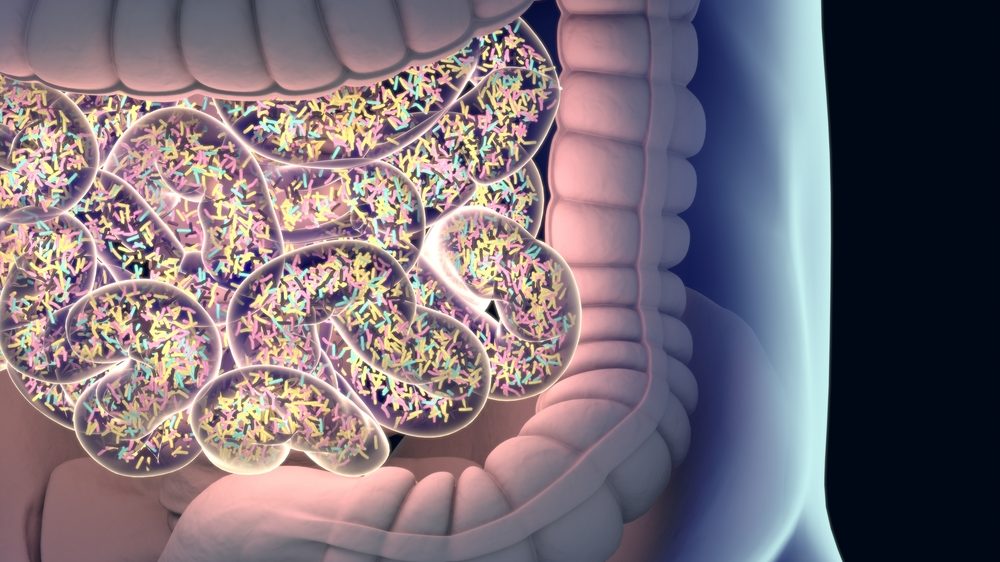 ilustração em 3D de intestino com microbioma. Germes no intestino estão relacionados à saúde