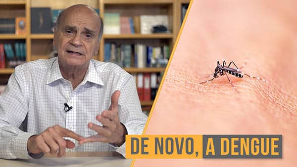 dengue culpa