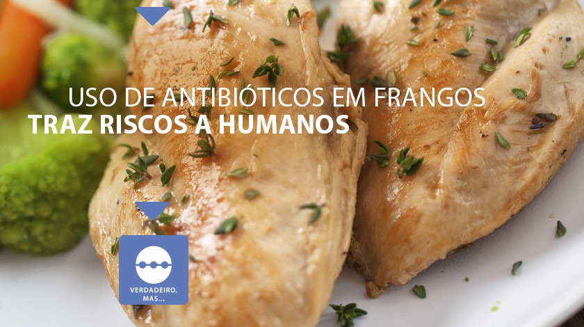 Comer frango criado com uso de antibióticos pode trazer problemas drops frango antibiotico