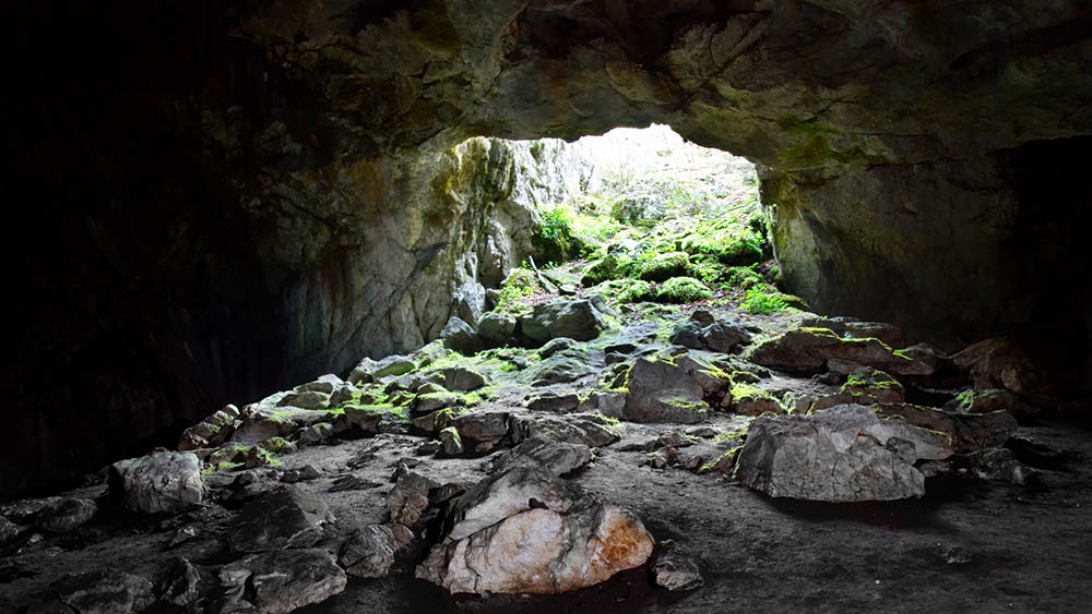 entrada de caverna histoplasmose