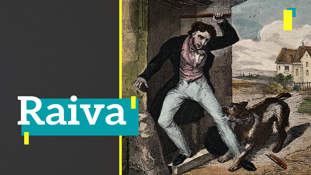 Thumbnail do quadro Recorte sobre raiva, com ilustração de um homem sendo mordido na perna por um cachorro.