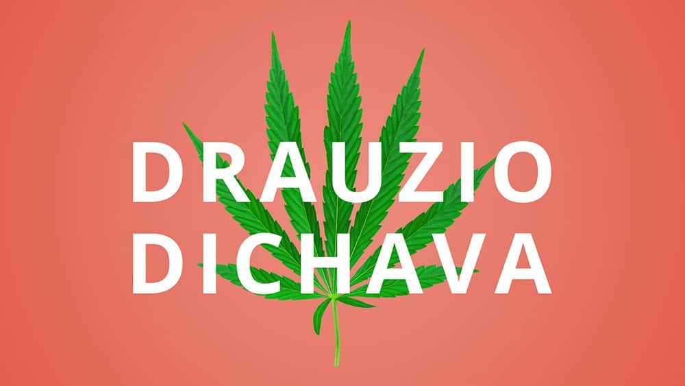 Ilustração de uma folha de maconha sobre fundo laranja e com texto "Drauzio Dichava".