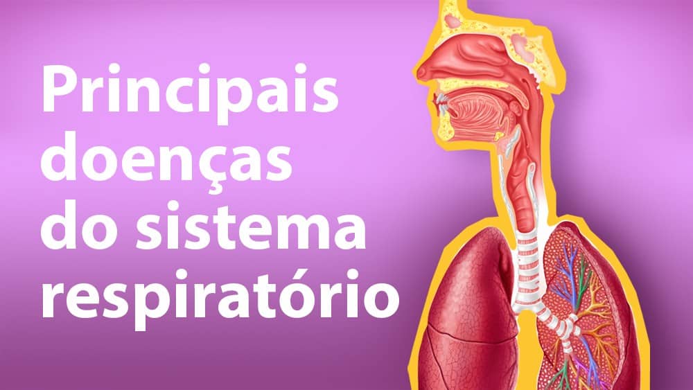 Ilustração de sistema respiratório humano com texto "principais doenças do sistema respiratório".