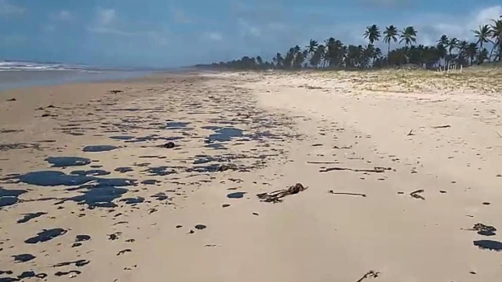 Praia do nordeste com vazamento de óleo | João Arthur (Projeto Tamar)
