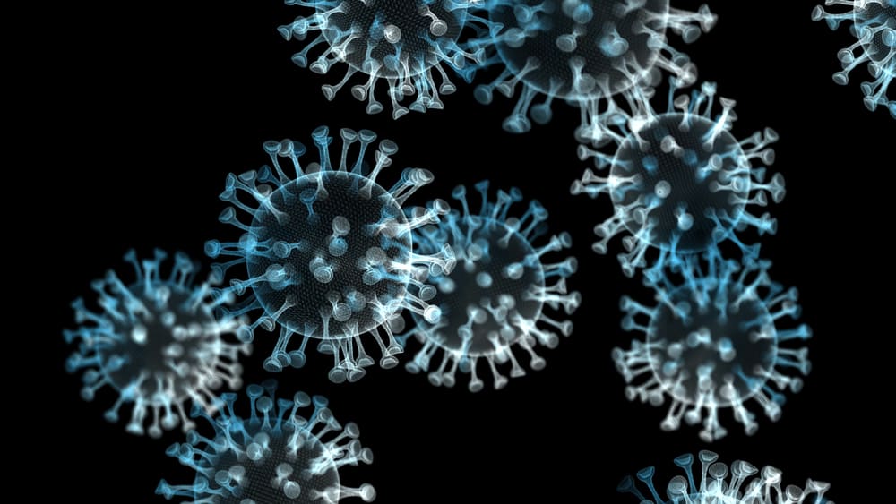 foto do Sars-CoV-2 em microscópio. novas variantes do coronavírus foram encontradas em vários países